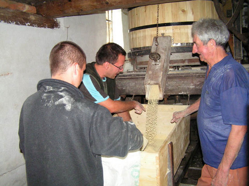 Ecovoluntariat turistic6