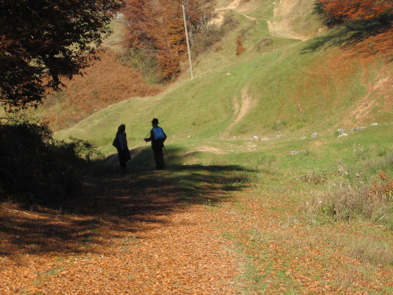 Ecovoluntariat turistic7