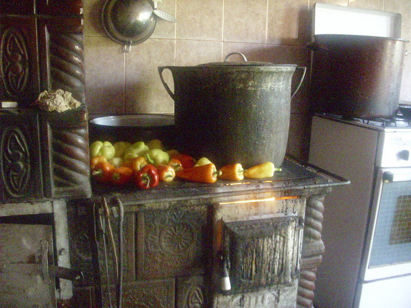 Ecovoluntariat turistic8