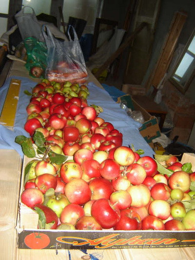 Ecovoluntariat turistic9