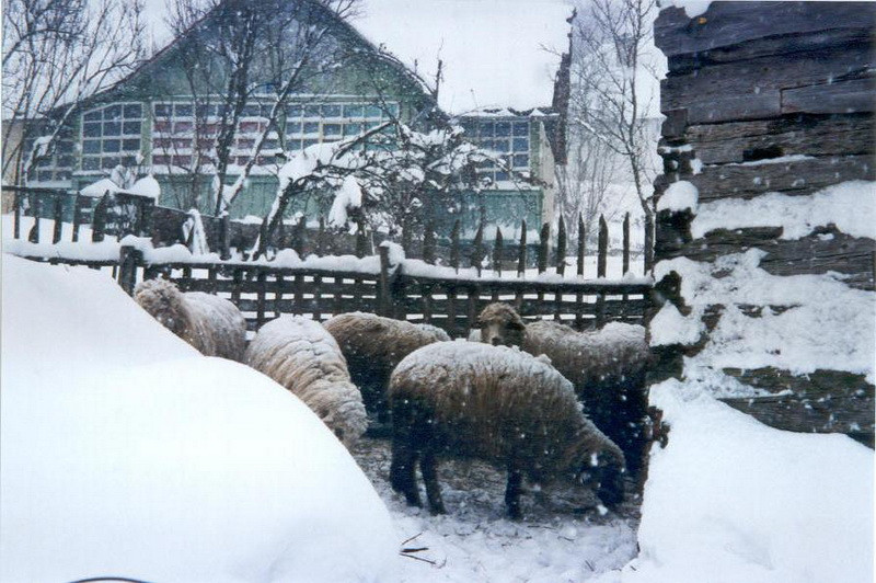 Ecovoluntariat turistic10