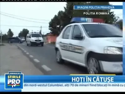 Hoti de masini de lux, retinuti de politisti