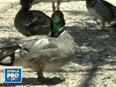 Vesti bune! Fonduri europene de 3 milioane de euro pentru agricultura eco