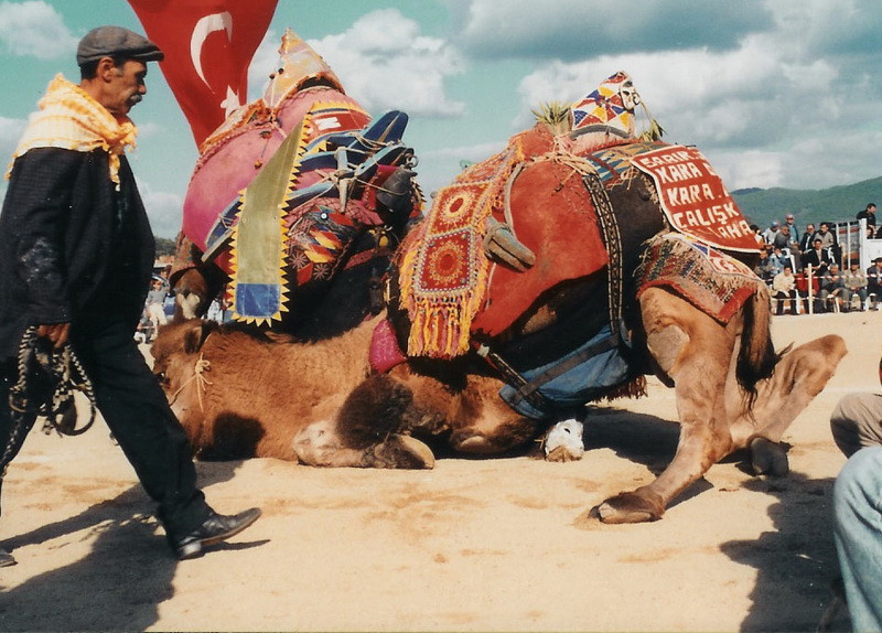 Cele mai trasnite festivaluri din lume