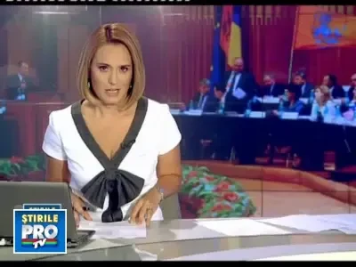 Cine ramane si cine pleaca? PDL-istii decid soarta tradatorilor din partid