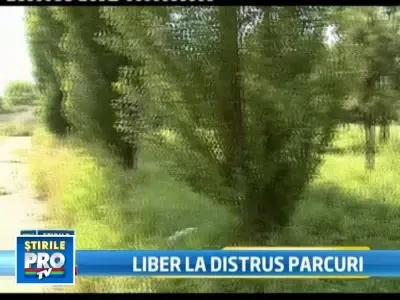 Am putea pierde si putinul spatiu verde din orase. Se schimba legea