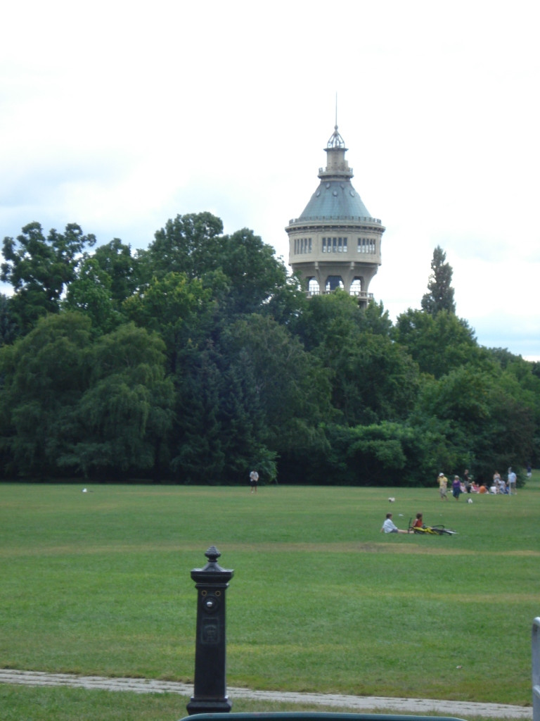 Un barbat a cazut intr-un turn de apa, apoi salvat intr-un mod spectaculos