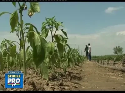 Mii de bugetari din ministere, pusi pe listele de restructurari