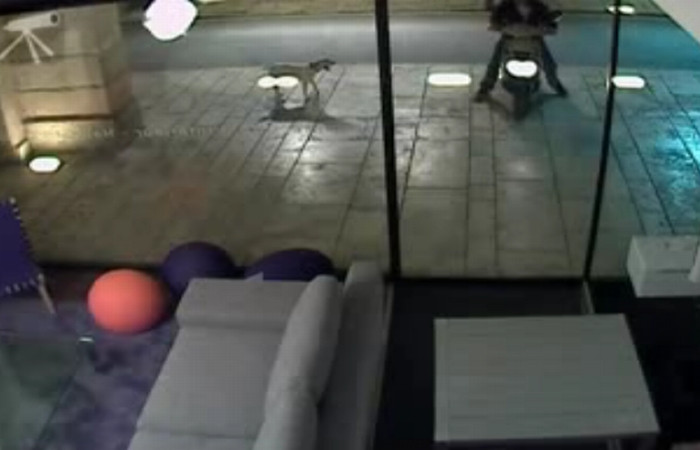 Ambitie de hot! A trecut prin geam ca sa fure niste tigari