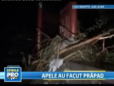 Puhoaie ucigase. A murit dupa ce a fost luata de ape cu tot cu casa