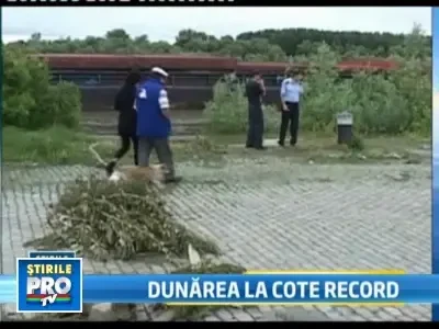 Stare de alerta pe malul Dunarii! Fluviul a depasit cota de inundatie