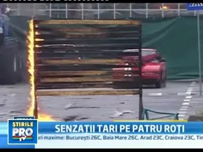 Samson si Godzilla au facut senzatie la Arad