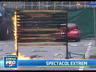 Samson si Godzilla au facut senzatie la Arad