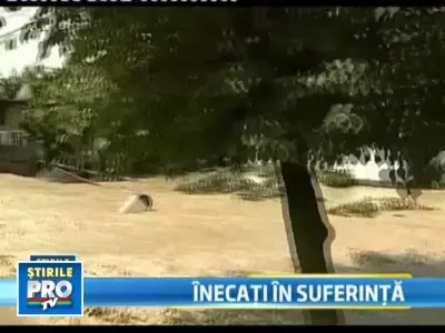 Caras Severin: a plouat intr-o ora cat intr-un an! Doi oameni au murit