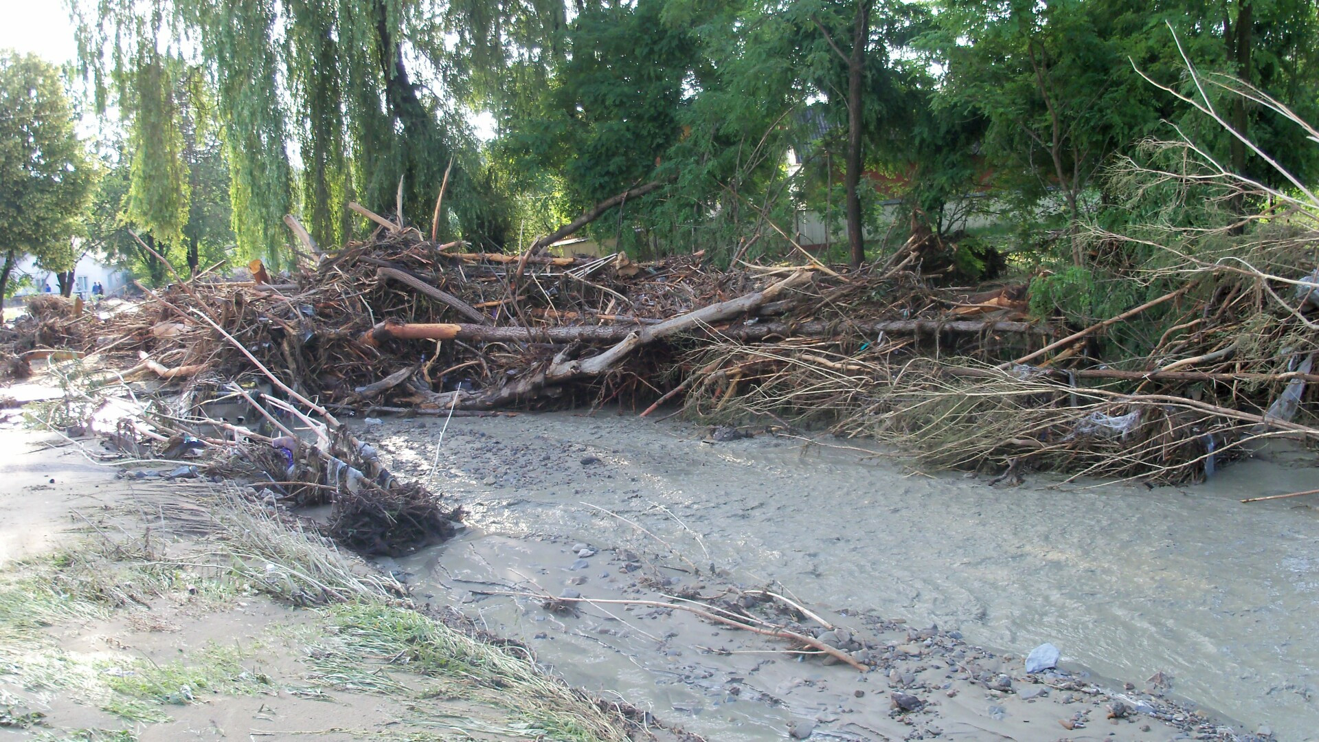 Alerta de inundatii in Timis. Raurile au iesit din matca si au inundat mai multe terenuri agricole