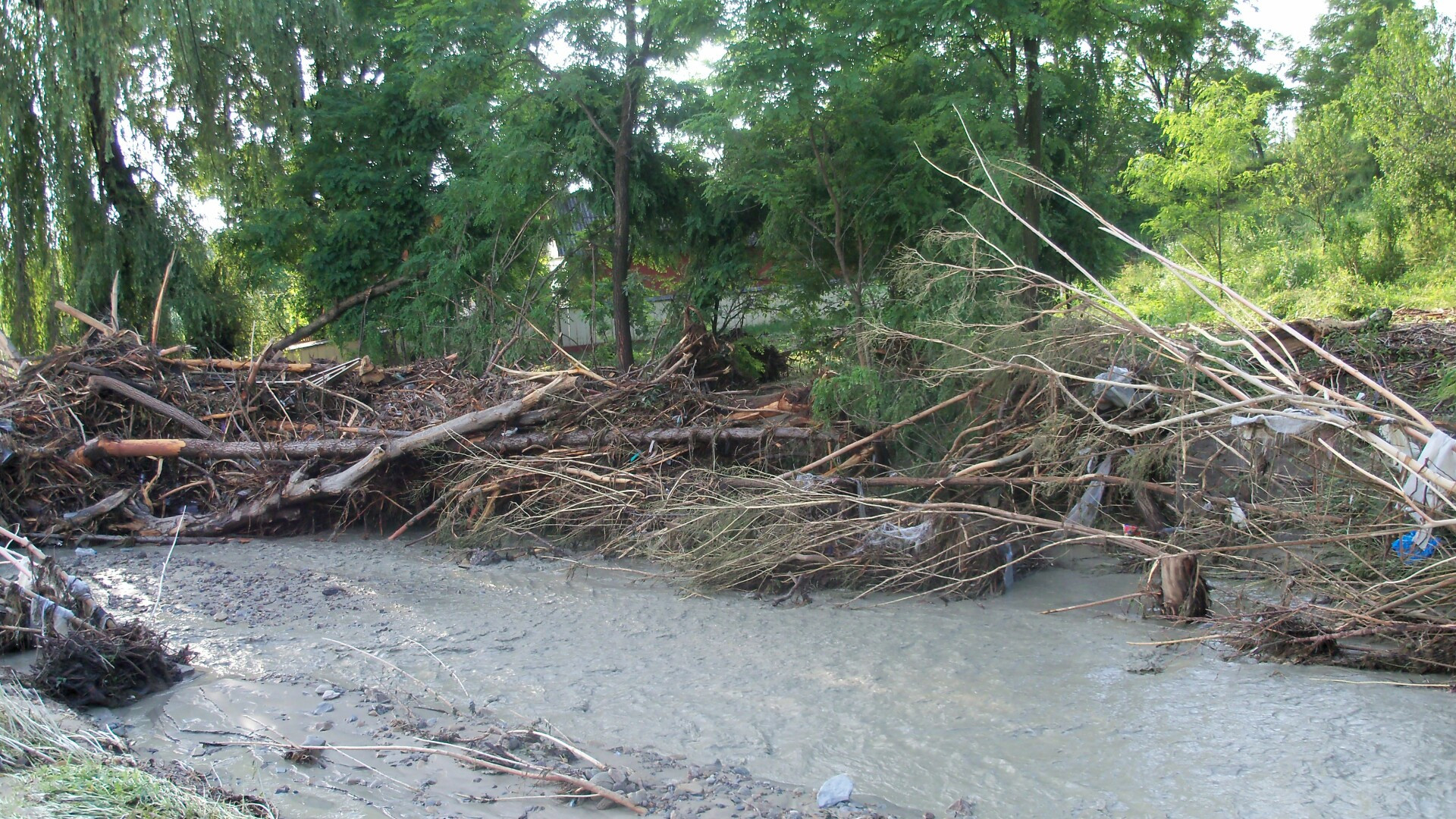 Ploile au facut ravagii in vestul Europei