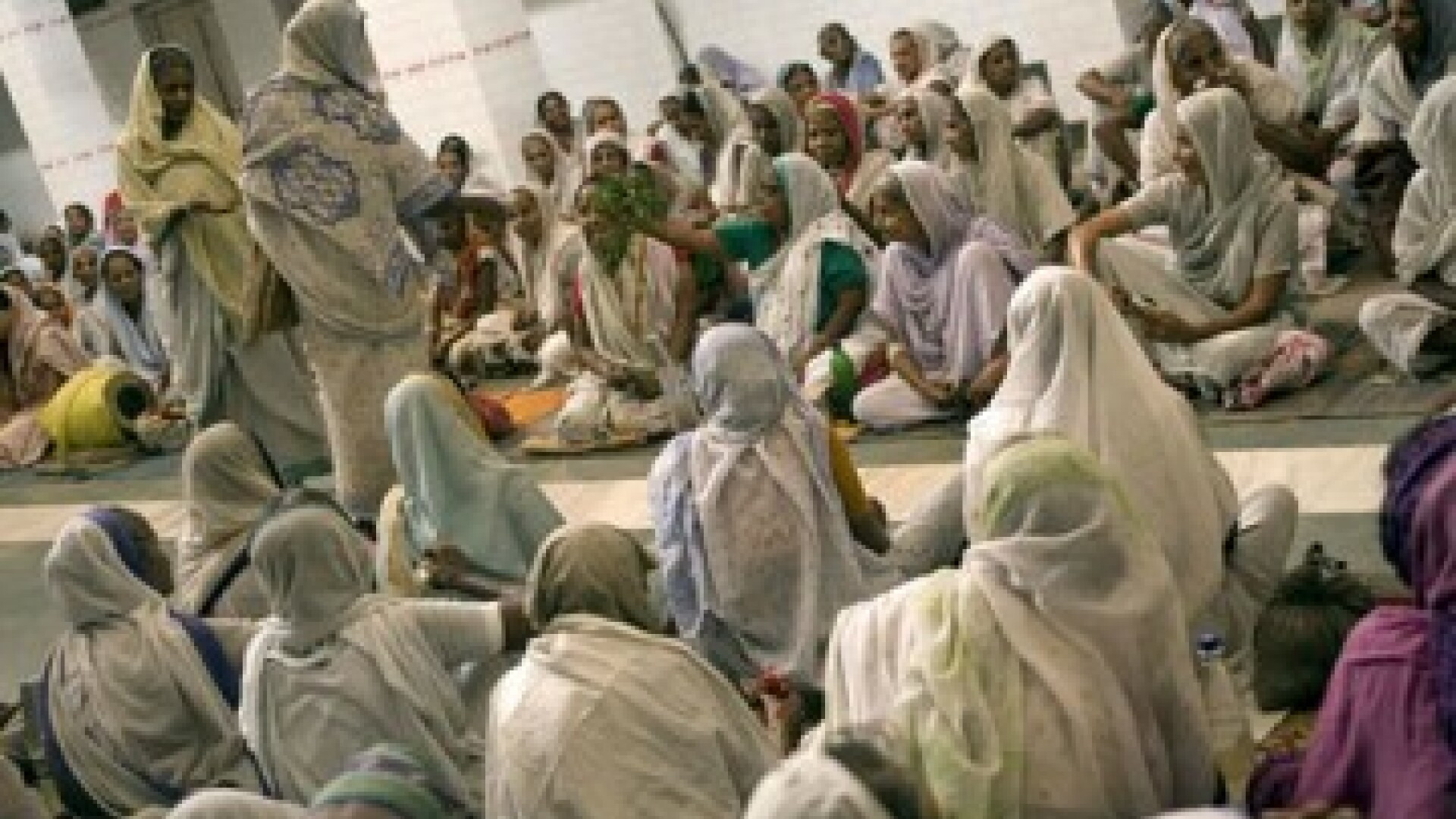 Orasul vaduvelor. Vrindavan, locul unde mor barbatii!