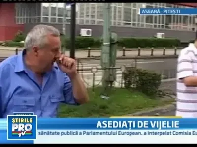 Mini-tornada la Pitesti! A plouat cu bucati din acoperisuri smulse de vant