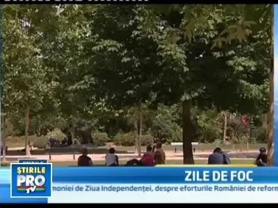 Dupa furtuni, canicula in Europa. 40 de grade in Germania