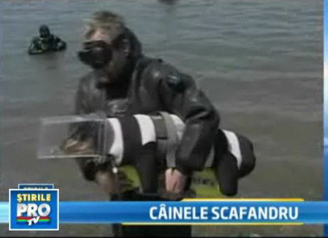 Indragostit de cainele sau, un rus a facut scufundari impreuna cu el