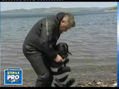 Indragostit de cainele sau, un rus a facut scufundari impreuna cu el
