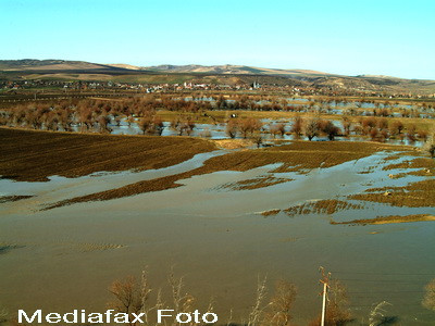Agrostar: Inundatiile vor scumpi alimentele cu inca 8%