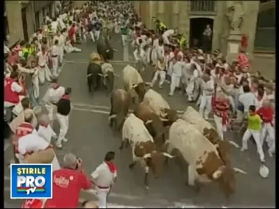 Sapte raniti la festivalul cu tauri de la Pamplona. Doi sunt in stare grava