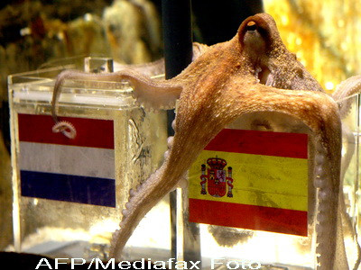 Caracatita Paul a prezis: Spania e campioana mondiala, Germania ia bronzul