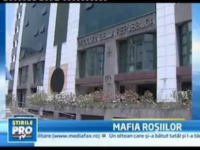 Mafia din Neapole a acaparat comertul cu rosii din Italia