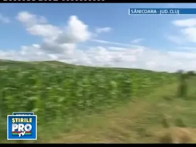 Fermierii romani cauta investitori care sa le salveze micile afaceri