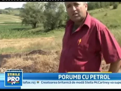 Recolte distruse intr-o localitate din Gorj din cauza scurgerilor de titei
