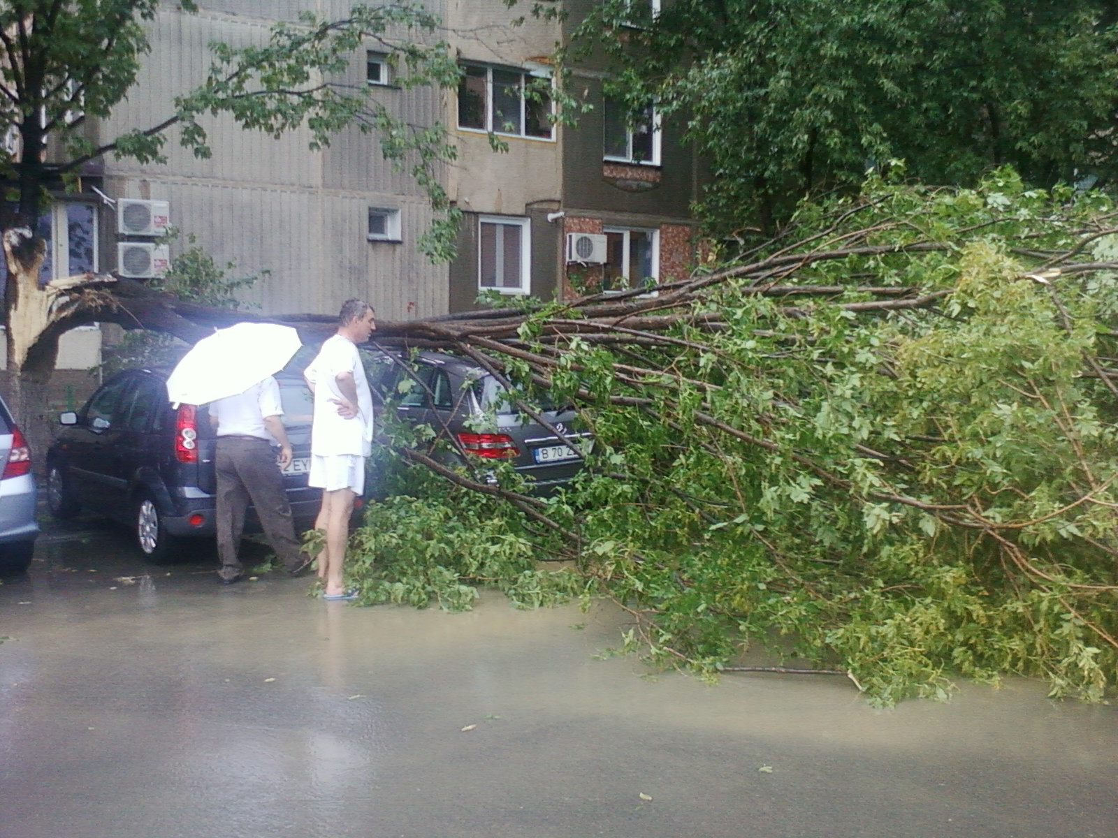Furtunile au maturat Moldova. In Timis, un om a murit lovit de fulger
