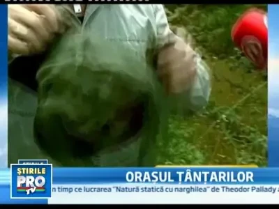 Combaterea tantarilor, trecuta pe factura de la intretinere!