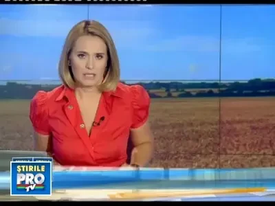 75% din graul cultivat zace inca in lan. Pretul painii ar putea creste