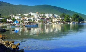 Concedii fara numar! De asta au parte angajatii unei companii din Toronto