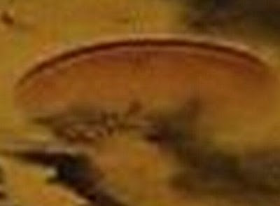 Dosarele X in Malaezia! Un OZN a vizitat plaja Tuaran. FOTO