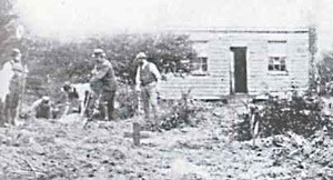 Elena Ceausescu, in topul celor mai diabolice femei din istorie