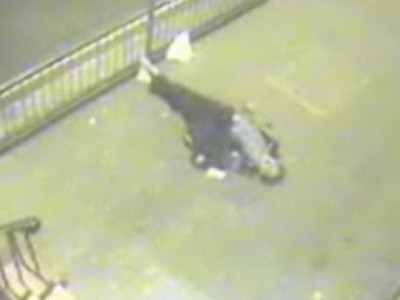 Dintr-o palma data in joaca - au ucis un batran de fata cu nepotica! VIDEO