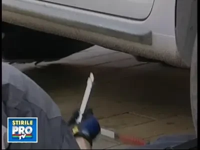 Au dezmembrat o masina pentru o pisica