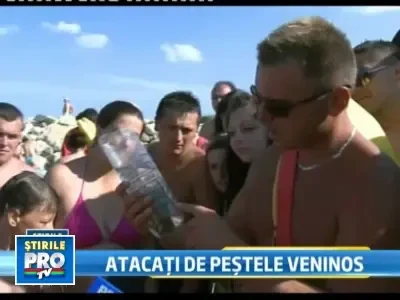 Costinesti: Dragonul de mare loveste din nou!14 turisti internati la spital