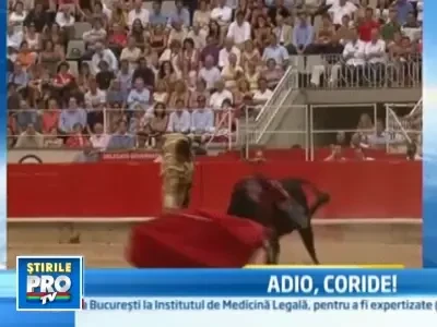 Decizie istorica in Catalunia: au fost interzise luptele cu tauri