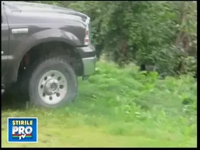 O ursoaica, mama eroina in SUA. Vezi cum si-a salvat puiul