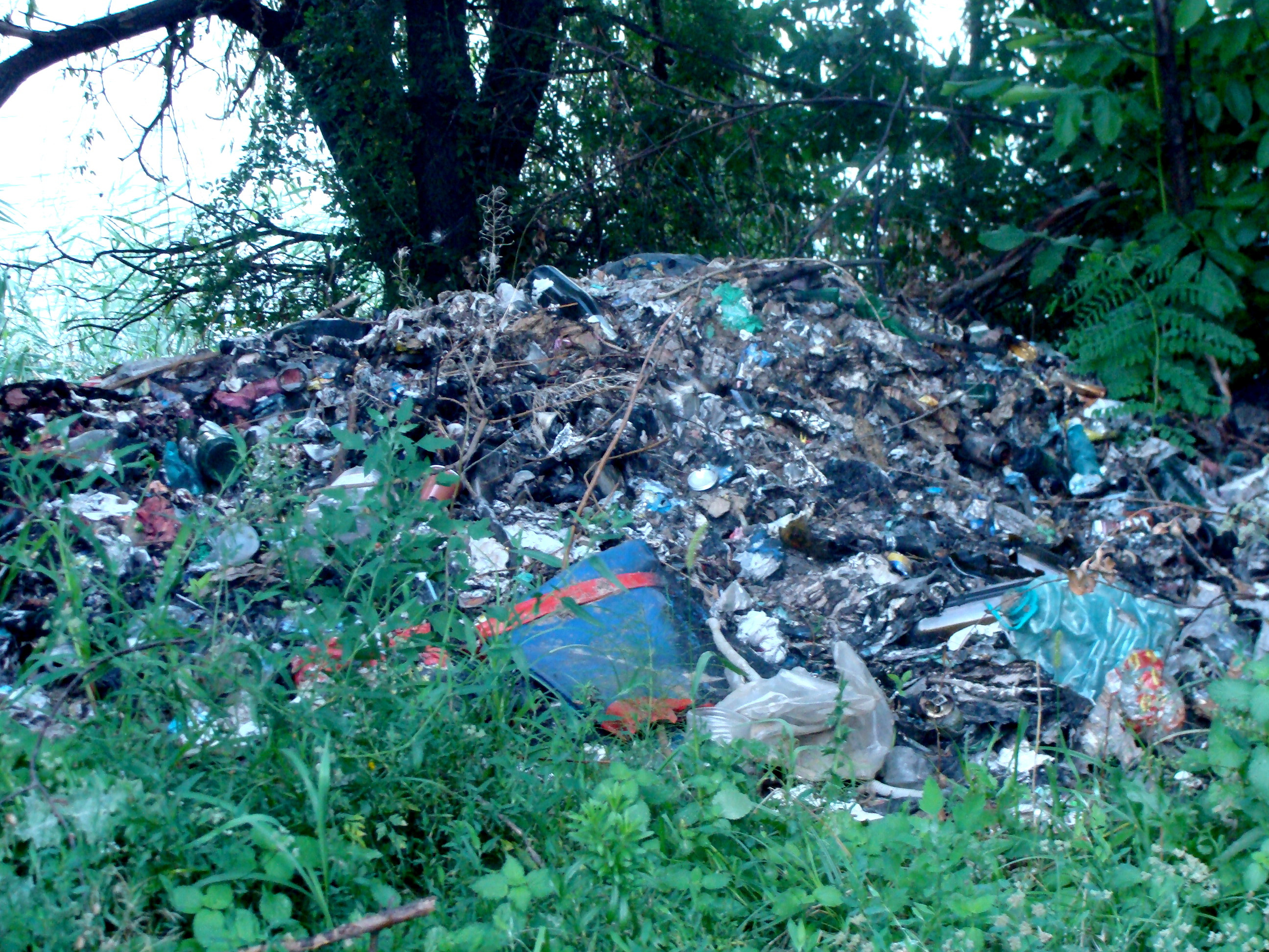 Parcul Pantelimon din Bucuresti, un focar de infectie