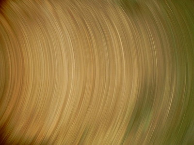 Fotografii facute de motanul Cooper