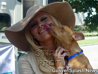 Pamela Anderson, linsa de un fan