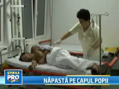 Telenovela cu iz de tamaie! Popa ramas somer, snopit de preoteasa in bataie