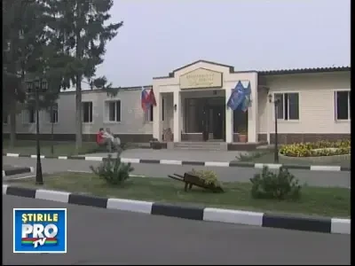 Dupa un salt fortat, magarusul zburator este transportat in Anglia