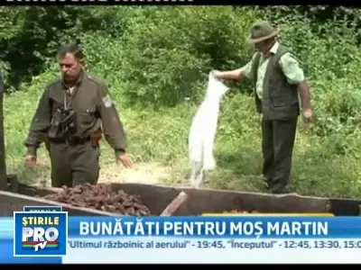 Jeleuri,ciocolata si bomboane.Cu asta ademenesc vanatorii, ursii din Brasov