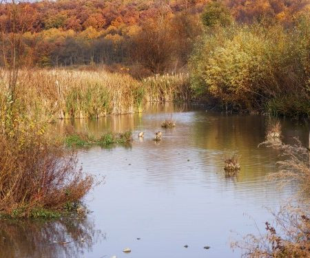 Excursie in jurul Bucurestiului? Cu masina mica, bajbaiti la greu