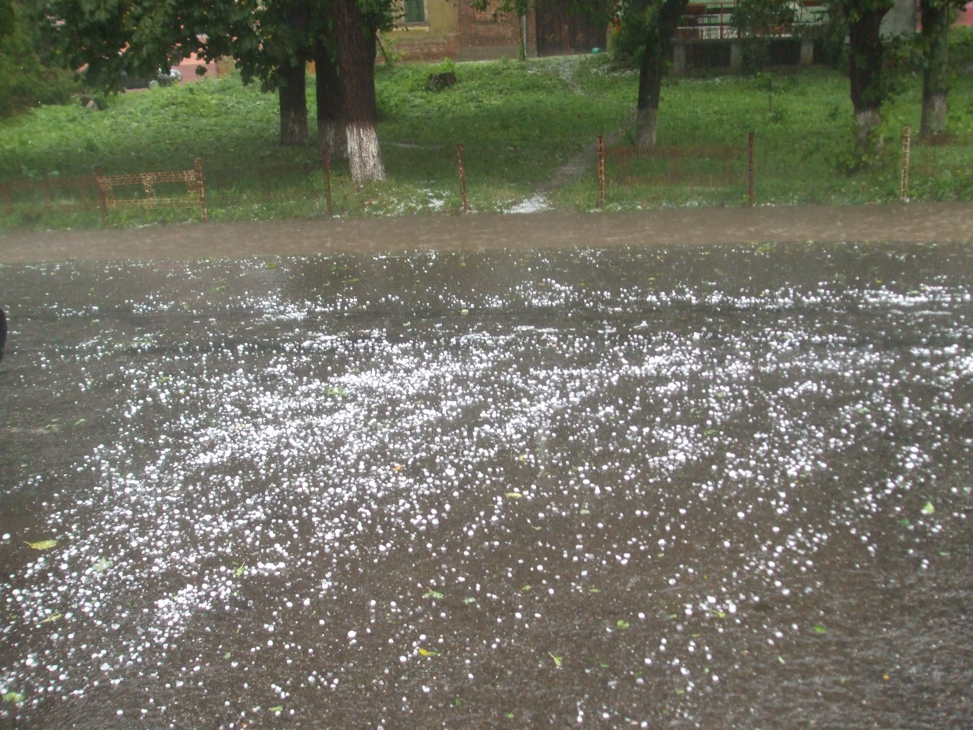 Atentionare de furtuni si vijelii in Bucuresti si imprejurimi